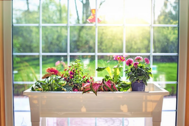 Why Not Enjoy The Benefits of Replacing Windows Each Season?