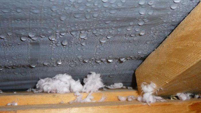What Is Attic Condensation, And Why Should You Be Worried About It?