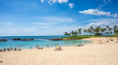 Planning to Take a Trip in Hawaii? Here’s What You Need to Know