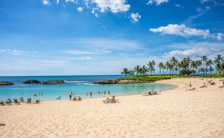 Planning to Take a Trip in Hawaii? Here’s What You Need to Know