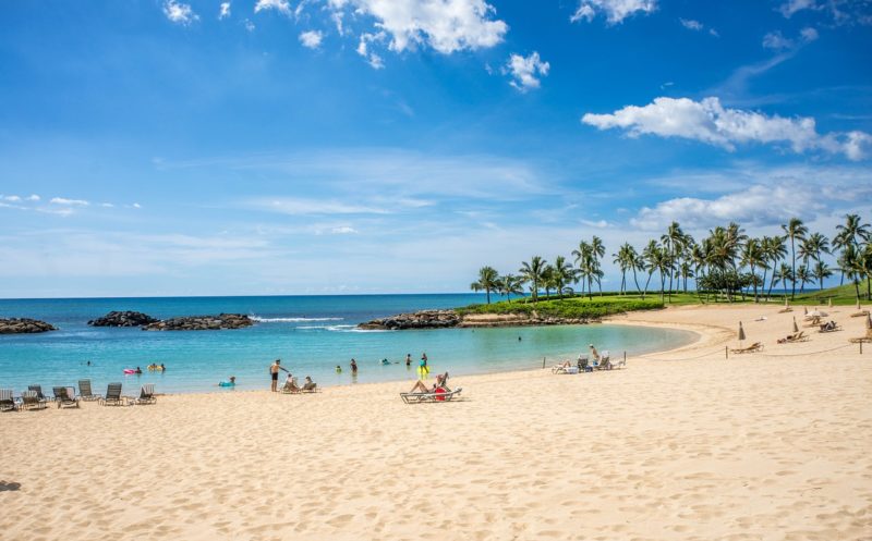 Planning to Take a Trip in Hawaii? Here's What You Need to Know