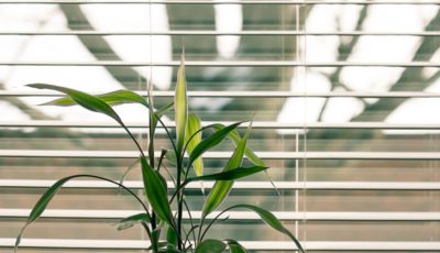 Importance Of Blinds In Home And Office