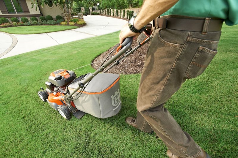 Fertilizing Your Lawn in Spring – What You Need to Know