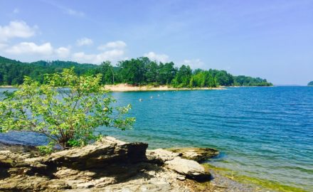 8 of the Best Things to Do in the Ouachita National Forest