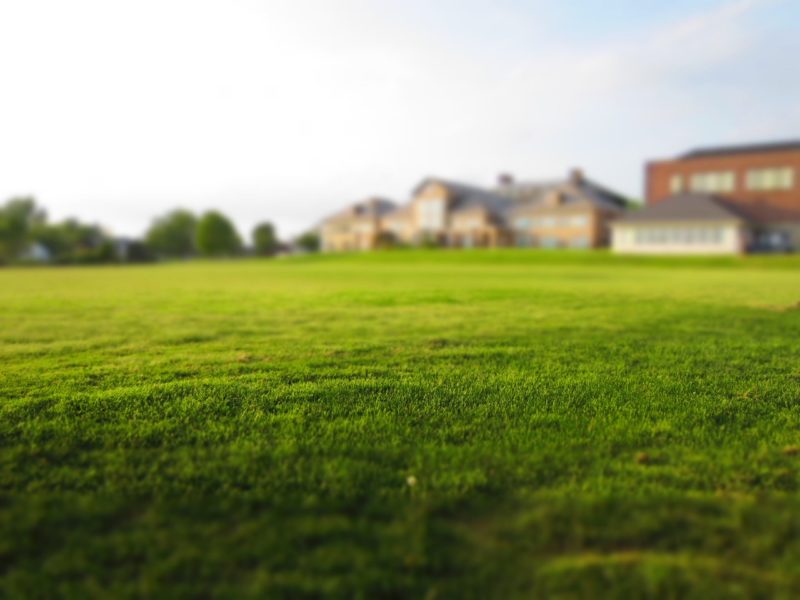 Fertilizing Your Lawn in Spring – What You Need to Know