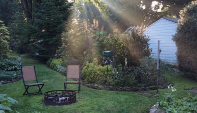 How to Create a Beautiful Backyard on a Budget