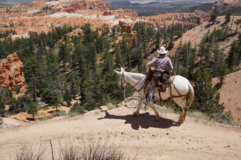 Five Exciting Activities to Try in Bryce Canyon National Park, Utah