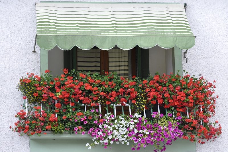 Few Useful Guidelines For Choosing The Best Awning Manufacturers