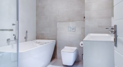 5 Tips for Choosing a Toilet for Your Home