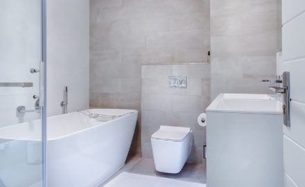 5 Tips for Choosing a Toilet for Your Home