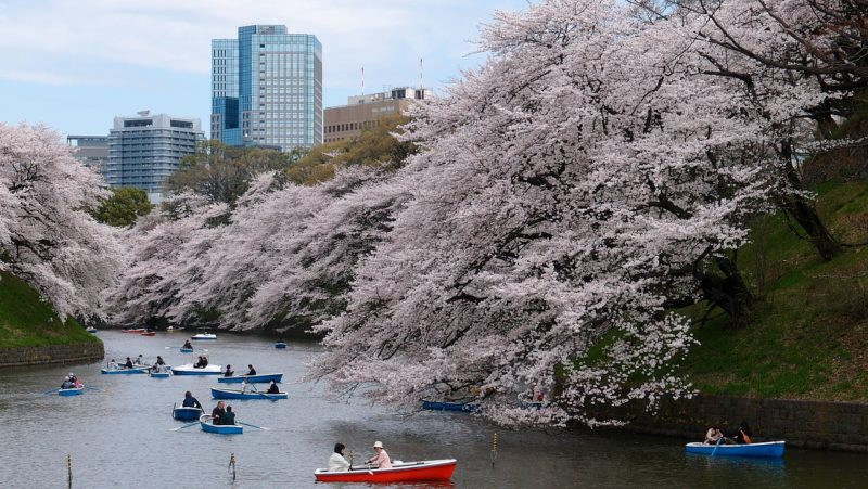 Quick Guide to Visiting Tokyo
