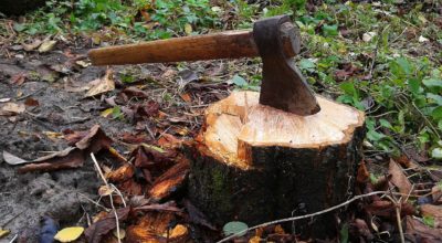 Architecture 101 – How to Handle a Tree Stump