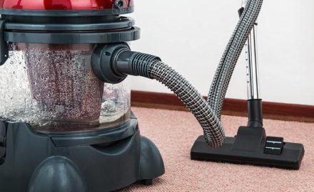 8 Tips for Carpet Cleaning You Must Know