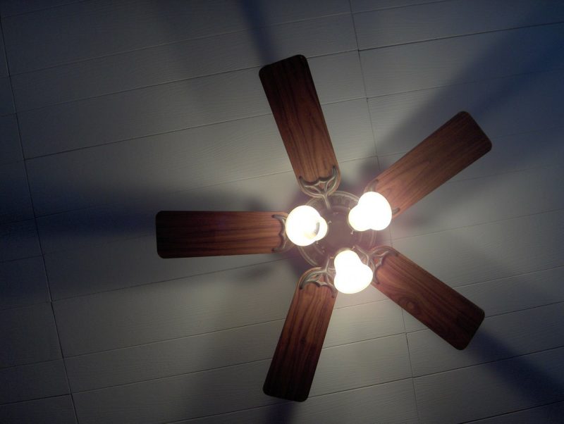 Looking For A Tropical-inspired Ceiling Fan? Check This Out!