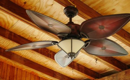 Looking For A Tropical-inspired Ceiling Fan? Check This Out!
