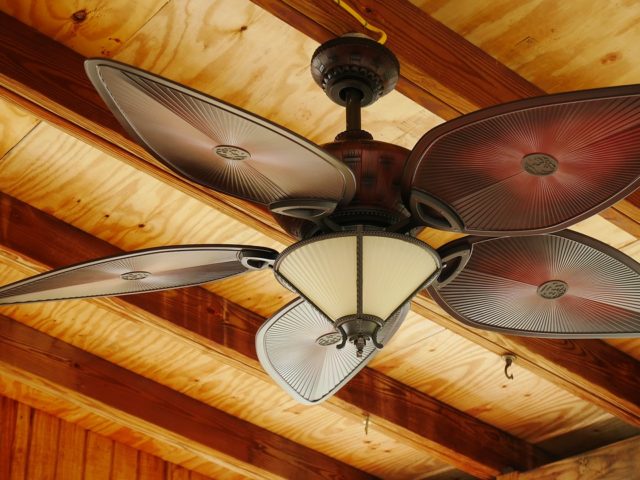 Tropical Drink Ceiling Fan /Light Pull Home Decor 