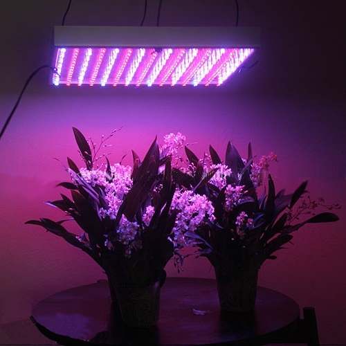 T5 Led Grow Lights Are Ideal For An Indoor Herb Garden