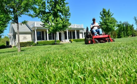 Do’s And Don’ts: How To Maintain Your Lawn