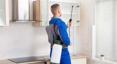 How To Make Your House Pest-free