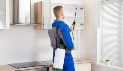 How To Make Your House Pest-free