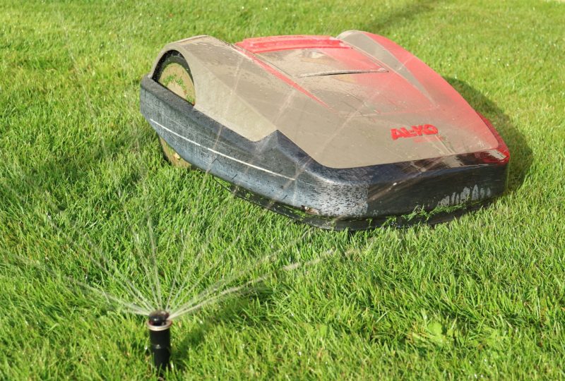 Do's And Don'ts: How To Maintain Your Lawn