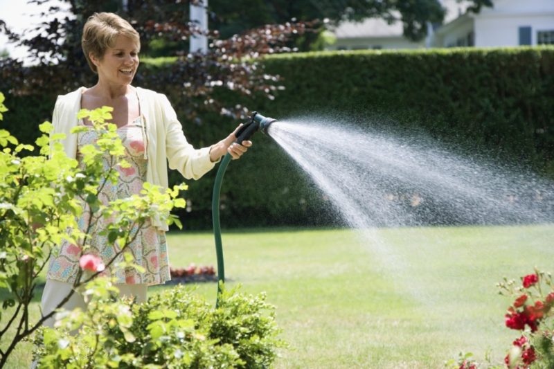 Do's And Don'ts: How To Maintain Your Lawn