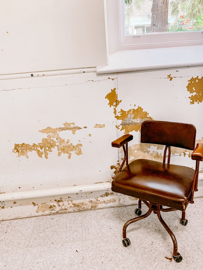 Mold 101: Here's How To Check And Effectively Get Rid Of Mold