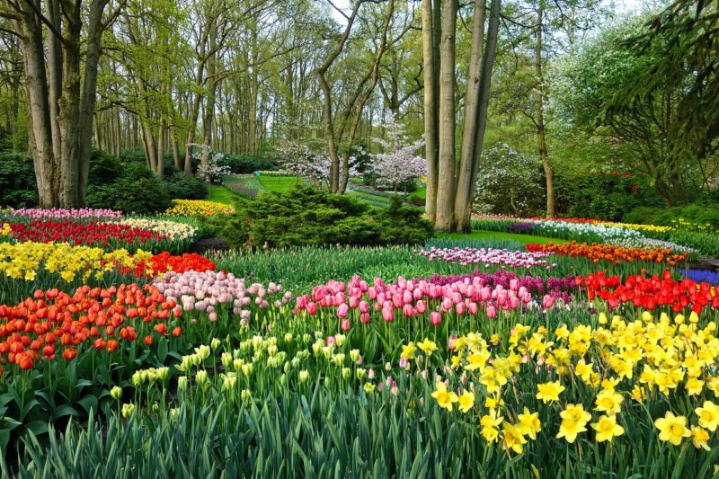 10 Most Breathtaking Gardens in the World