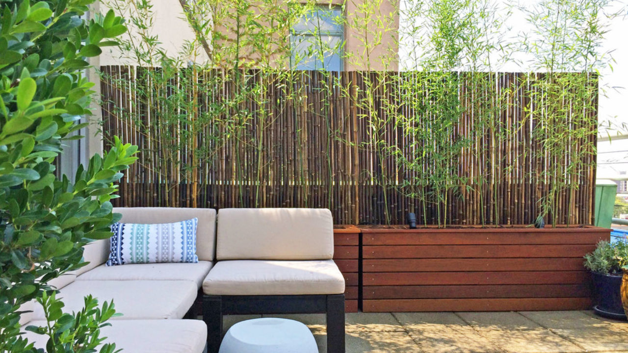 Permanent Pergola How To Create Shade, How To Create Shade On Your Patio