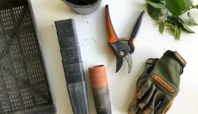 Latest Trends on Gardening Tools for 2019