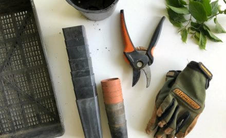 Latest Trends on Gardening Tools for 2019