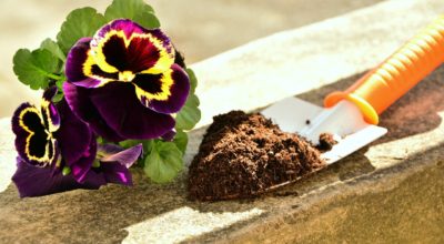 A Guide for Healthy Soil in Your Garden