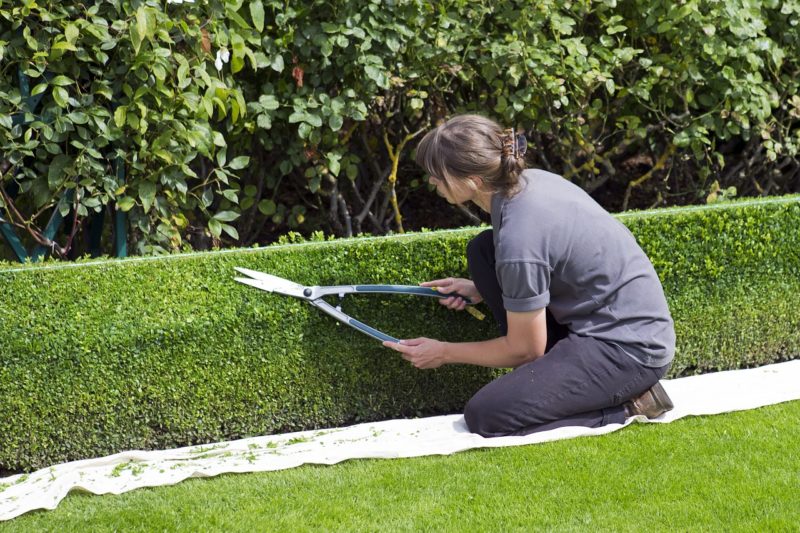 How to Go Green While Making Your Yard Greener