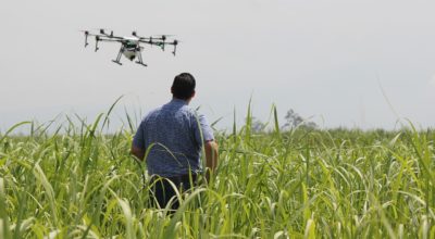 Agriculture and Robotic Techniques