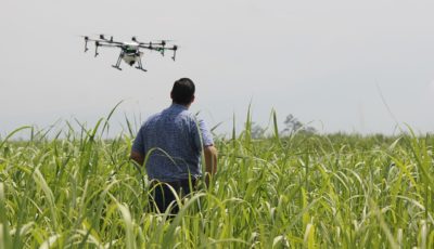 Agriculture and Robotic Techniques