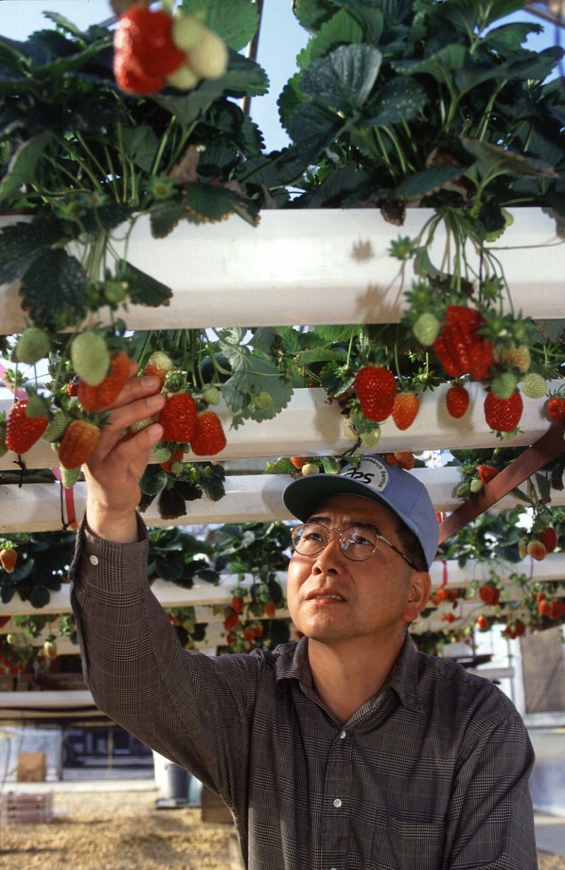 The Best Four Technologies That Make Smart and Sustainable Agriculture
