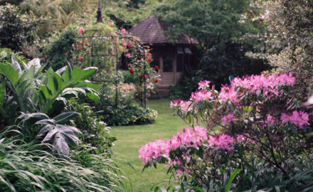 4 Tips for a Green and Gorgeous Botanical Garden