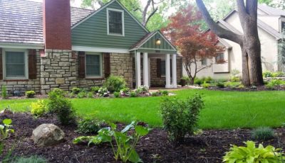 Tips to Take Care of Your Yard