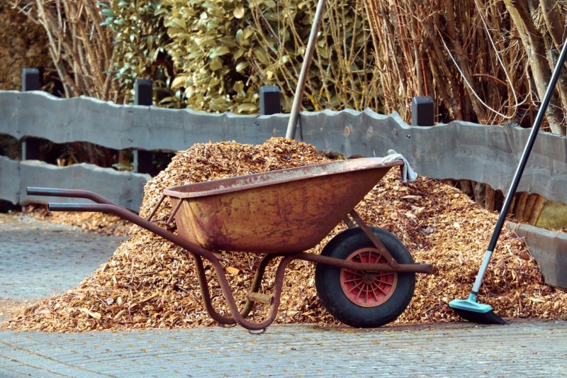 Got Mulch? How to Choose the Right Type for Your Yard