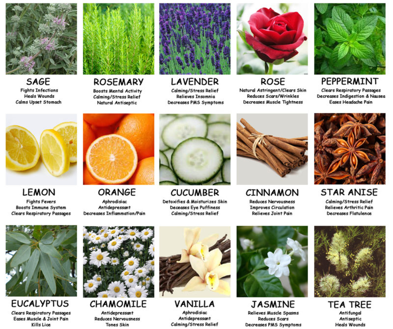 How Aromatherapy Works BeautyHarmonyLife