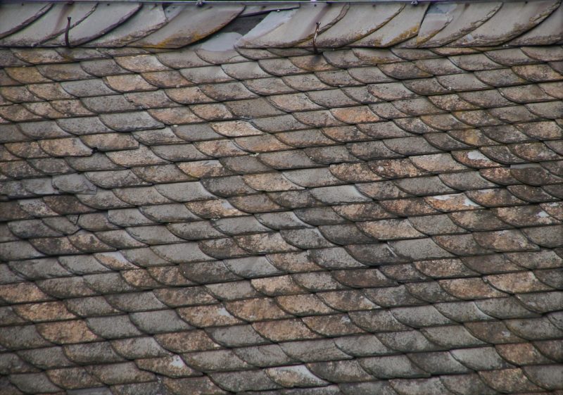 Roof Serious Issues and the Dangers of Ignoring Them