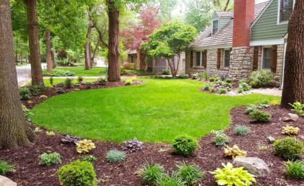 Privacy at Home: 4 Ways to Enhance Your Yard