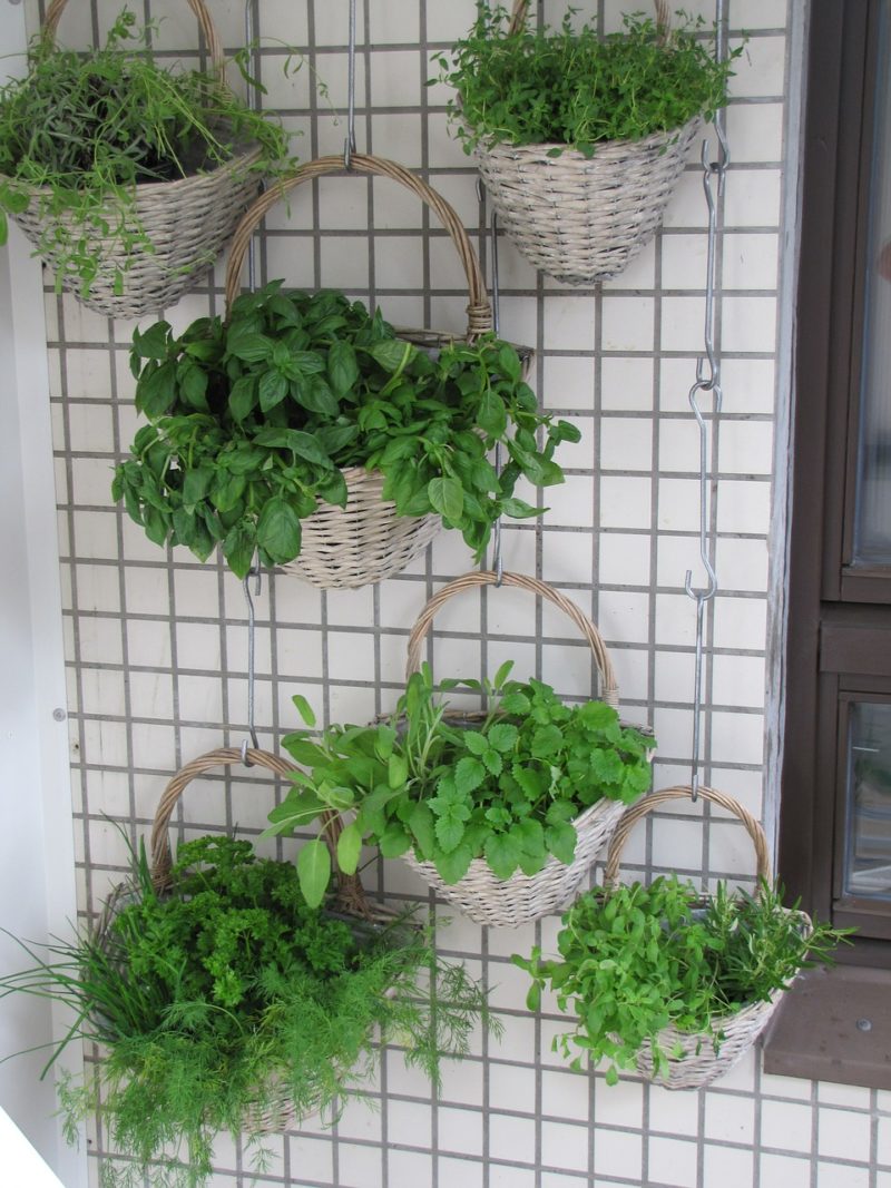 Ideas for creating Refreshing Indoor Garden