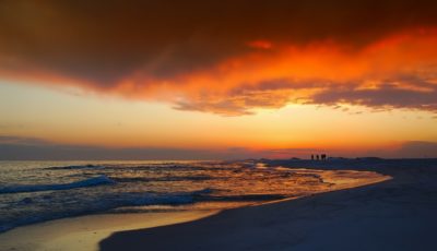 Winter In Florida: Top 5 Things To Do And See