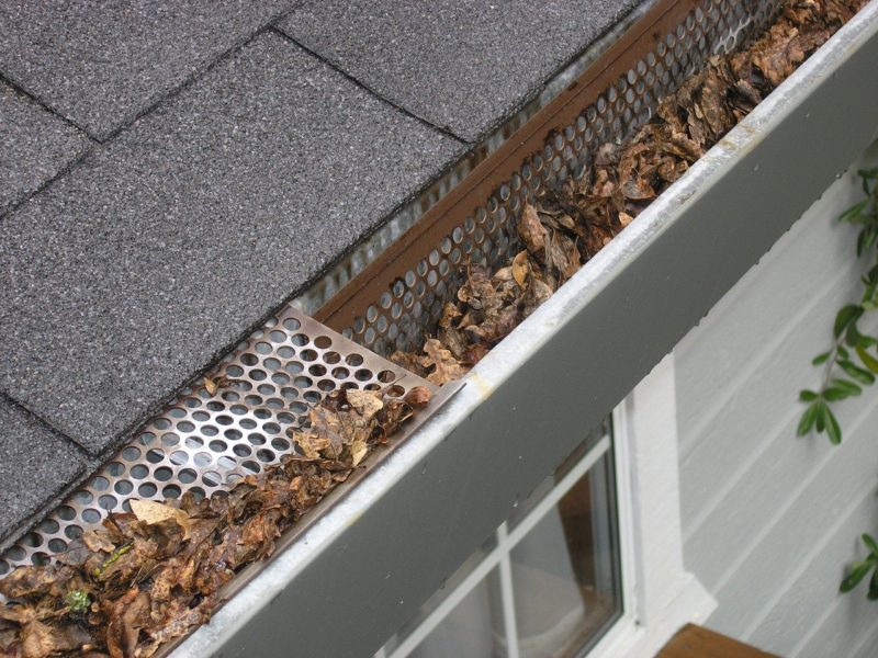 How Often Should you Clean Your Gutters?