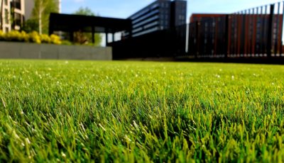 Have a Green Lawn Year Long: Making the Switch to Artificial Turf