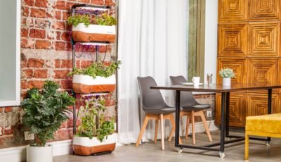 5 Eco-Friendly Projects for Your Home