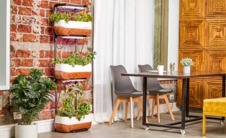 5 Eco-Friendly Projects for Your Home
