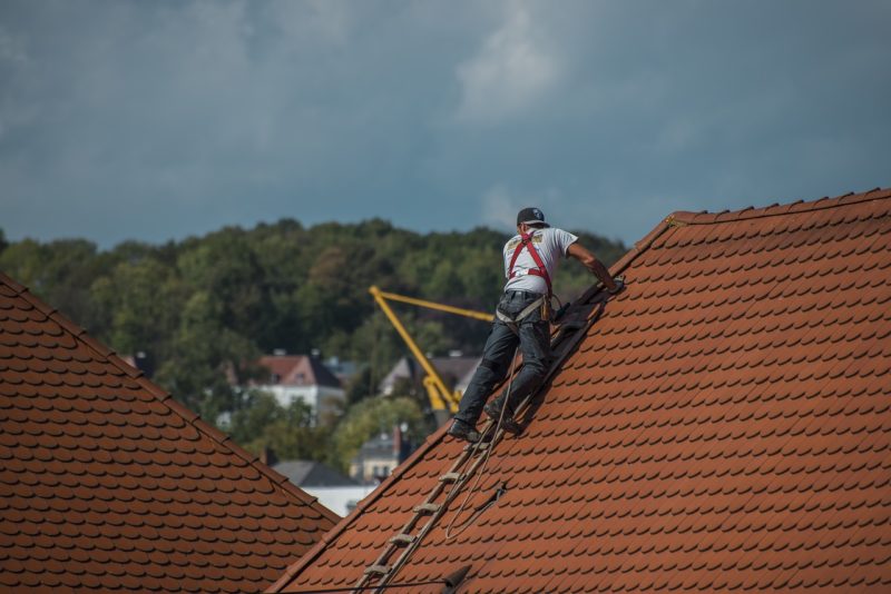 Everything Homeowners Need To Know About Roof Repair and Maintenance