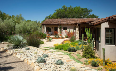 4 Unique Landscaping Options for a Desert Home